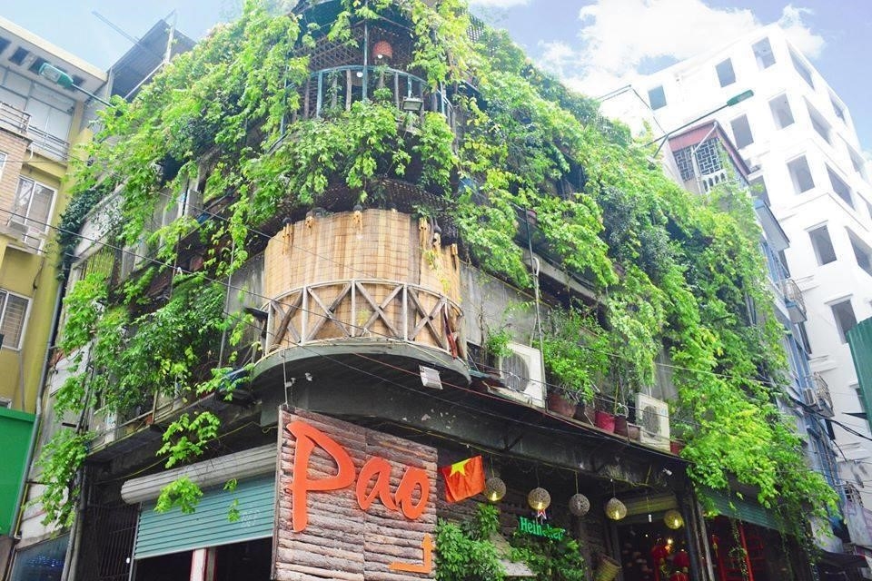 Pao Quán, tọa lạc tại ngõ 62 Trần Thái Tông, Quận Cầu Giấy, là một quán ẩm thực nổi tiếng với không gian sang trọng và phục vụ đa dạng các món ăn truyền thống và hiện đại.