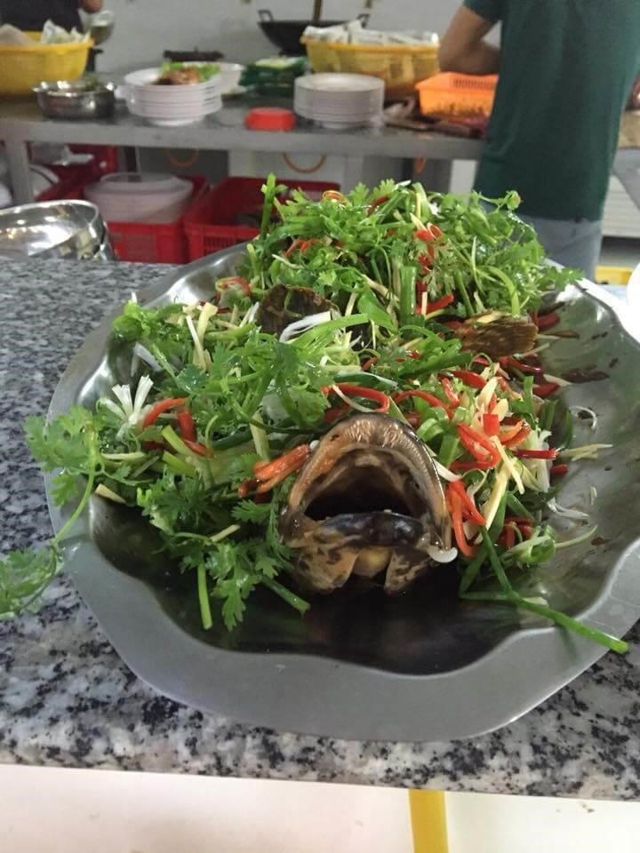 Cá Mú Hấp Hongkong là món ăn đặc trưng của Hongkong, được chế biến từ cá mú tươi ngon và các loại gia vị đặc biệt. Món ăn này thường được hấp để giữ nguyên hương vị và độ ngon của cá, tạo nên một món ăn hấp dẫn và thơm ngon.