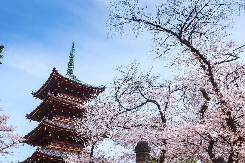 Công viên Ueno tọa lạc tại Tokyo, Nhật Bản, là một trong những công viên lớn nhất và nổi tiếng nhất của thành phố này. Với diện tích rộng lớn, công viên Ueno có đủ không gian cho các hoạt động giải trí, thể thao và thư giãn. Ngoài ra, công viên còn nổi tiếng với vẻ đẹp tự nhiên, đặc biệt là các khu vườn và hồ nước, tạo nên một không gian yên bình và thư thái cho du khách khi ghé thăm.