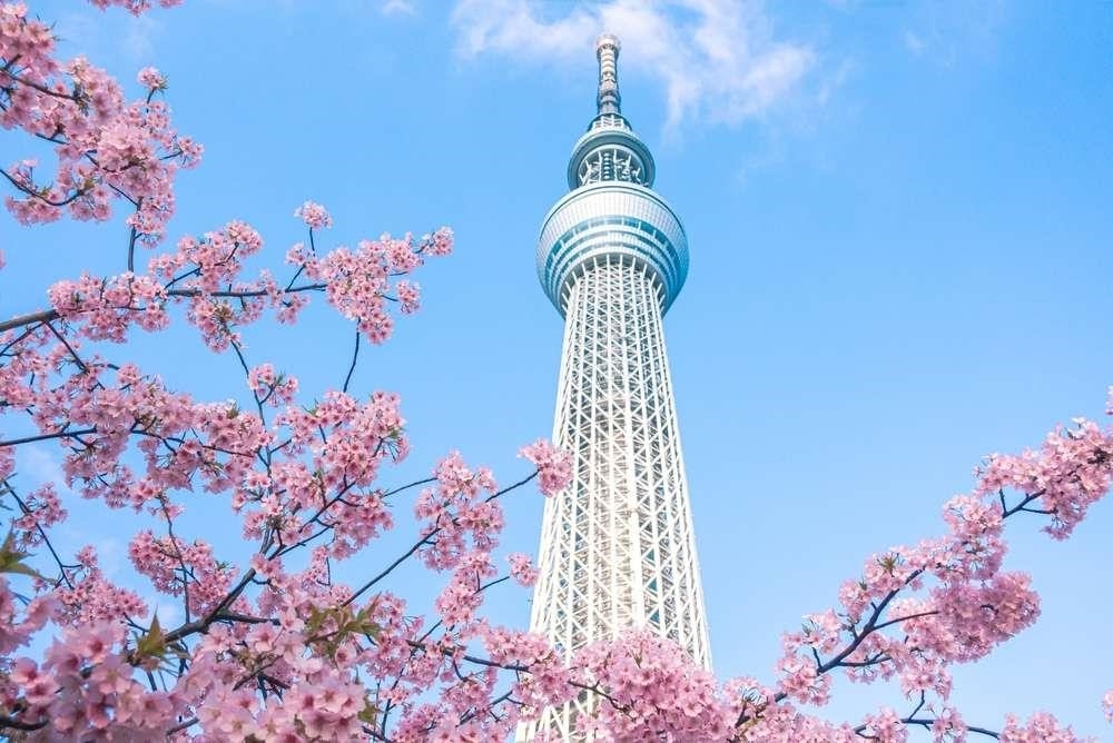 Tháp truyền hình Tokyo SkyTree là một công trình kiến trúc hiện đại độc đáo tại Tokyo, Nhật Bản. Với chiều cao lên đến 634 mét, nó là tháp truyền hình tự do cao nhất thế giới. Ngoài việc phục vụ cho việc truyền hình và truyền thông, Tokyo SkyTree cũng là một điểm du lịch nổi tiếng, thu hút hàng triệu du khách mỗi năm với cảnh quan tuyệt đẹp từ đỉnh tháp và những hoạt động giải trí đa dạng trong khu vực xung quanh.